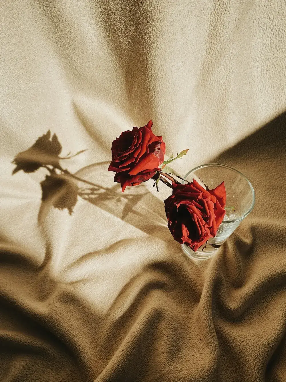 The Floral Blessing